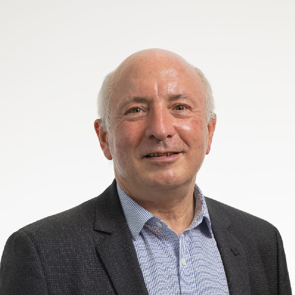 Patrick Cassauba, IT Transformation and IT4M&A Advisor at EarthTone Advisors.